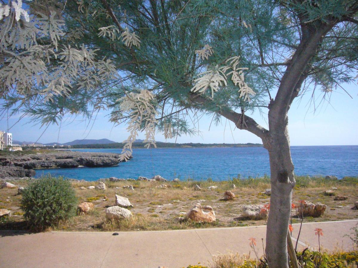 Holiday Home Randemar S'illot Exteriér fotografie